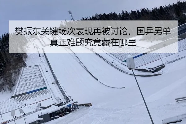 樊振东关键场次表现再被讨论，国乒男单真正难题究竟藏在哪里